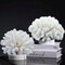 Pack of 2 White Coral Decor, White Coral Reef, Faux Artificial Coral Statue, Resin Coral Sculpture Nautical Tabletop Decoration for Beach Theme Party Home Decor Wedding Decoration